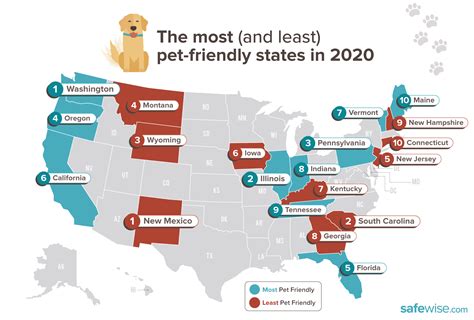 most dog friendly states